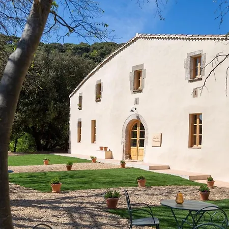 Nits De Bosc Vilassar de Dalt