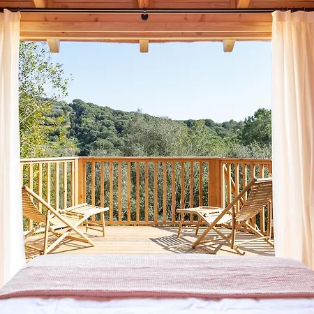 カントリーハウス Nits De Bosc Vilassar de Dalt